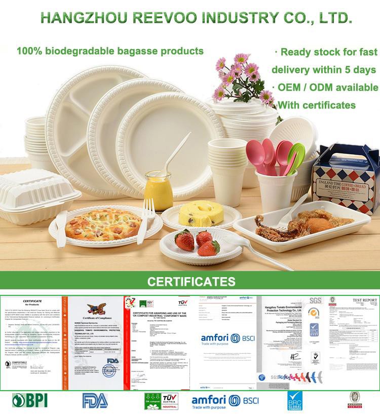RV BAGASSE TABLEWARE1