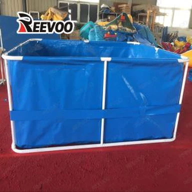 طوي تربية البركة